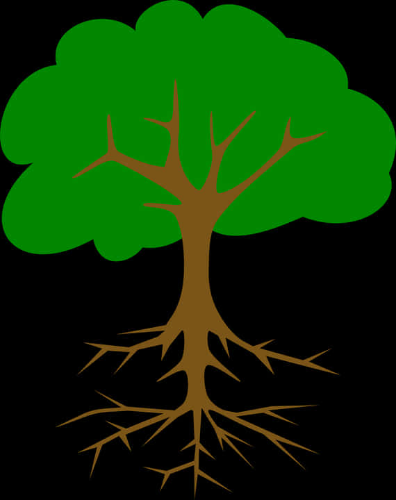 A Tree With Roots And A Green Leaf