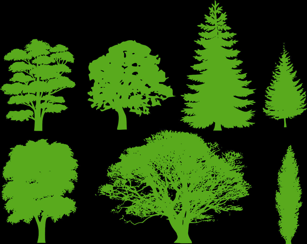 Green Tree Silhouette Png, Transparent Png
