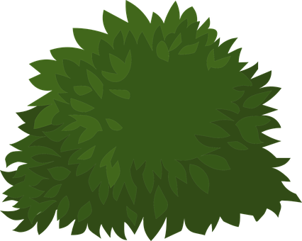 Green Png 426 X 340