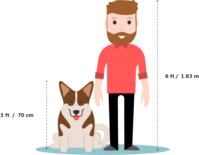 A Man Standing Next To A Dog
