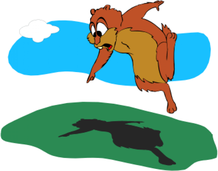 Cartoon A Cartoon Of A Squirrel Jumping Into A Pond