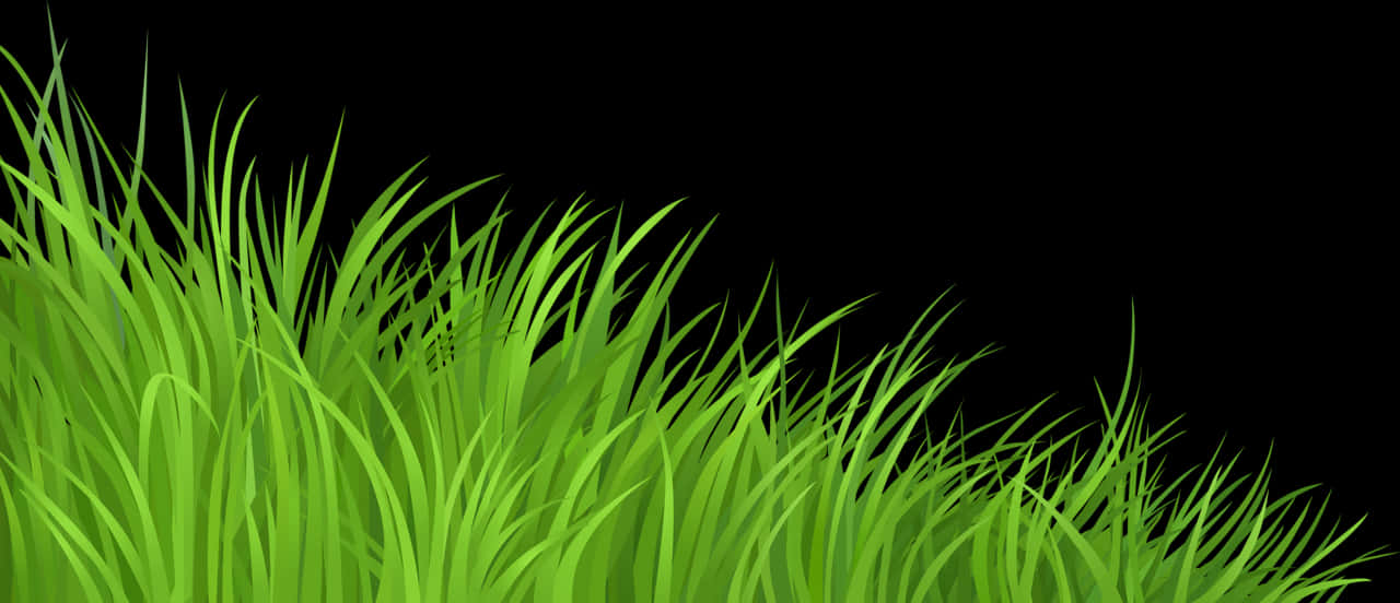 Growing Grass Plant Clip Art