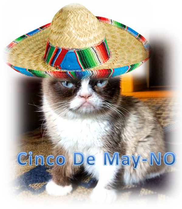 Mexican Hat Cat Meme