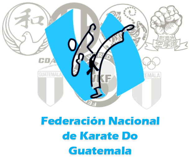 Guatemala Flag Png, Transparent Png