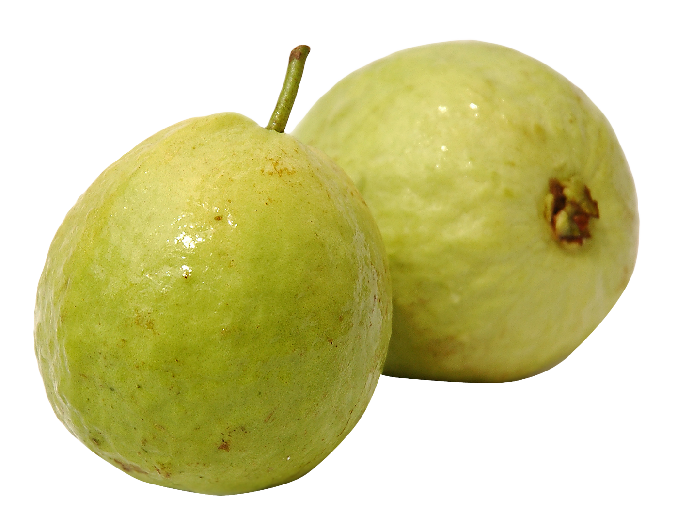 Guava Png 1397 X 1064