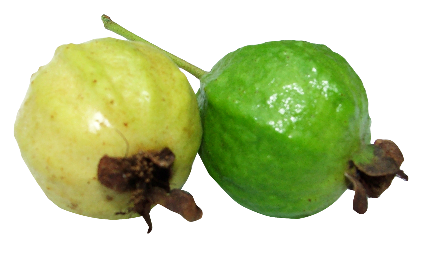 Guava Png 1408 X 835