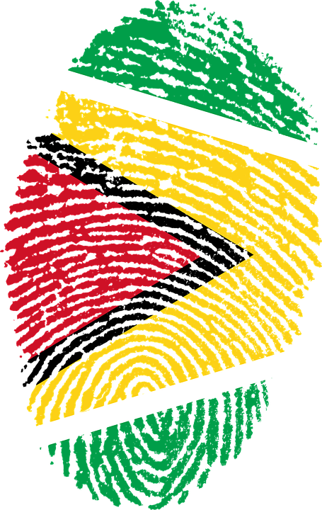 Guyana, Flag, Fingerprint, Country, Pride, Identity, Hd Png Download