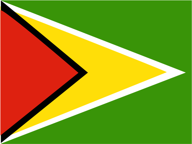 A Flag With A Red Yellow And Black Triangle