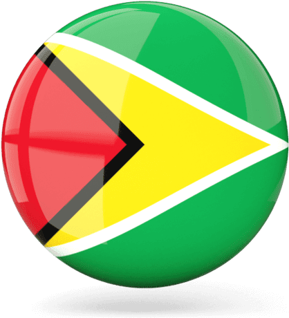 A Round Button With A Flag