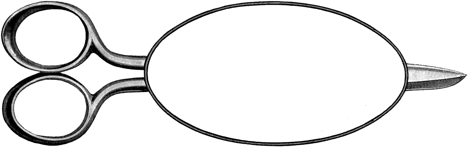 A White Oval Object With Black Border