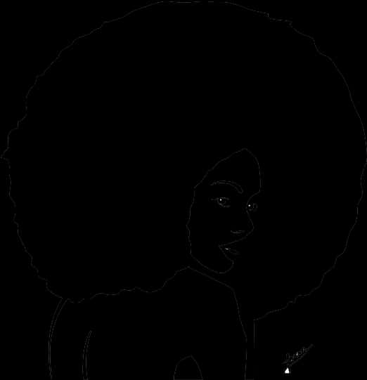 A Woman With Big Afro Hair