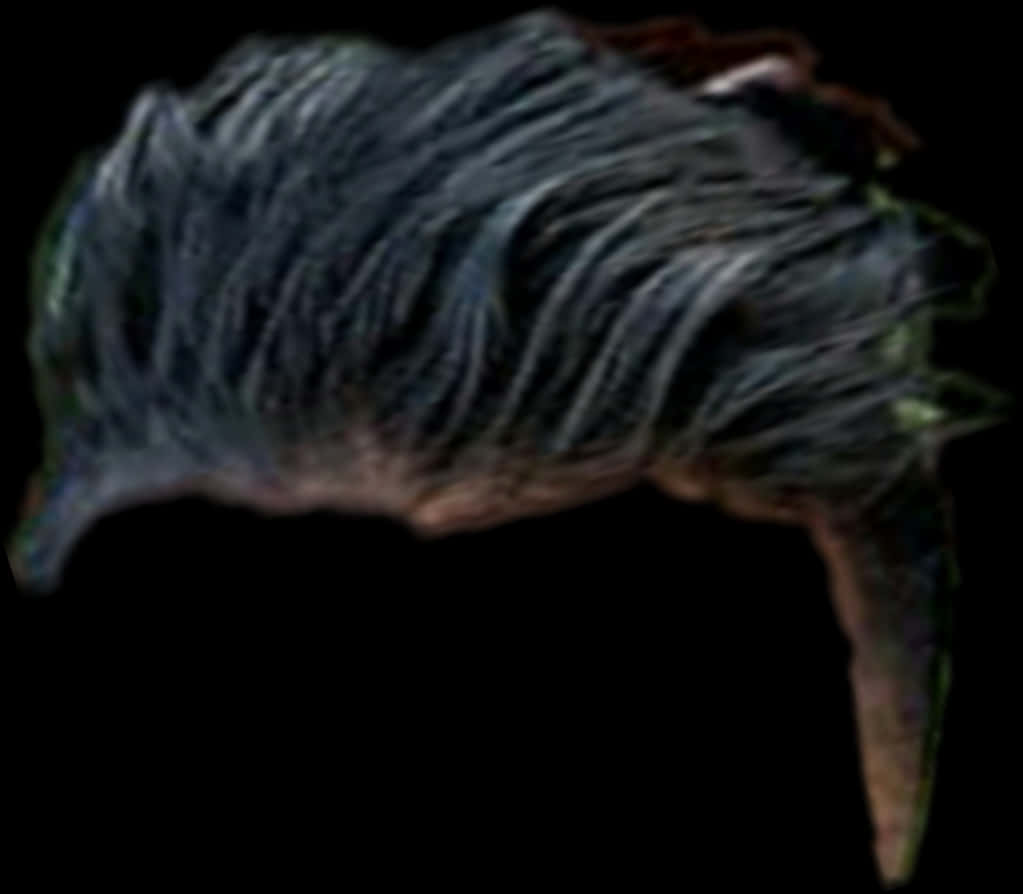 A Person's Hair With A Black Background