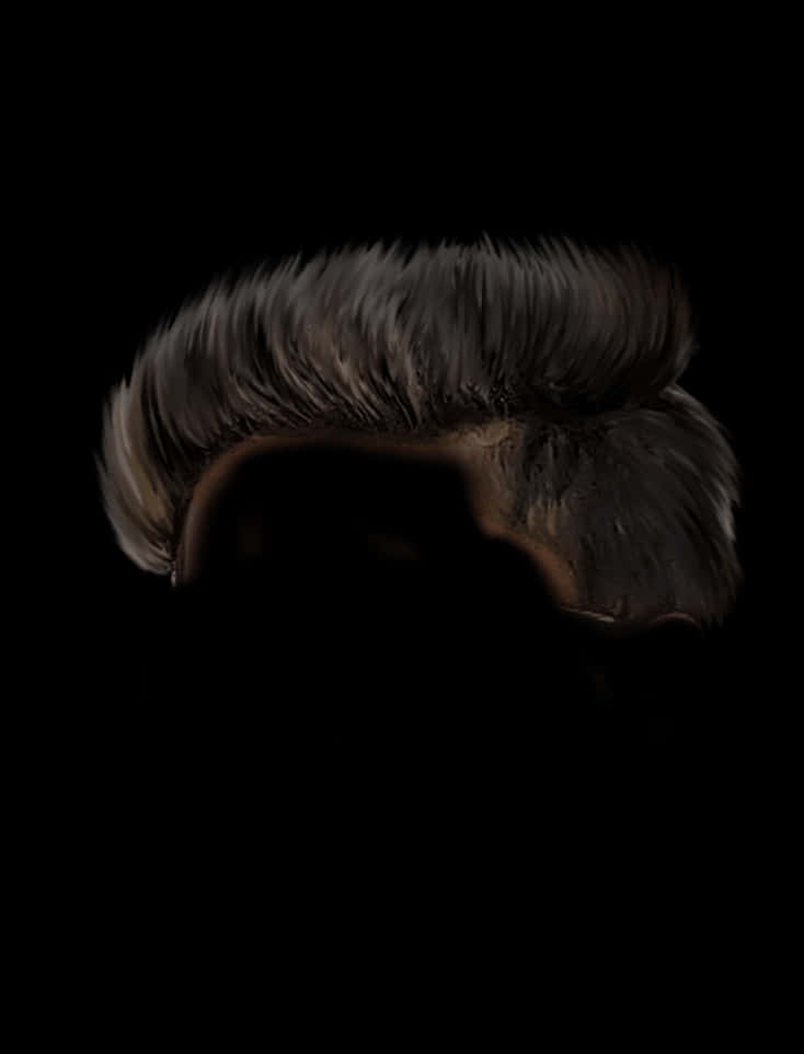 A Person's Head With Hair