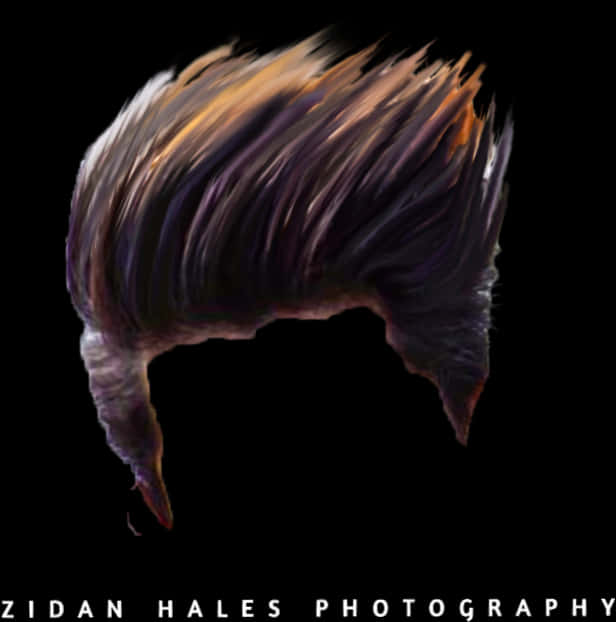 A Close Up Of A Hair