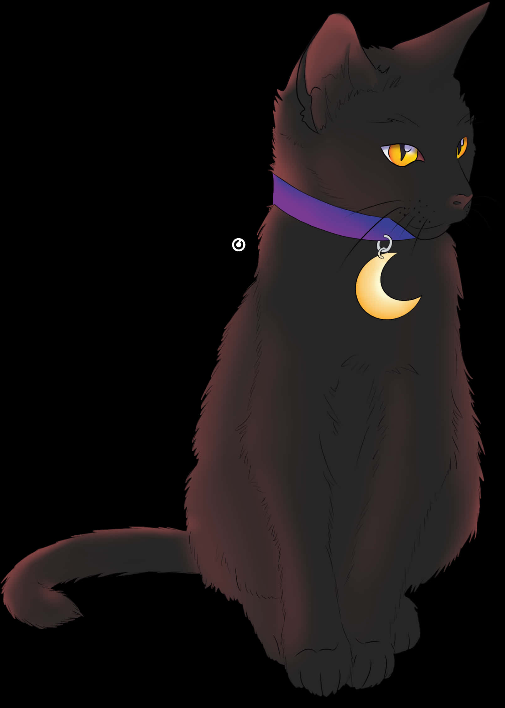 Halloween Black Cat With Moon Collar