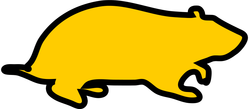 A Yellow Pig With Black Background