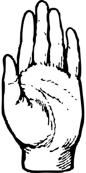 A Hand With Fingers Extended