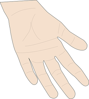Hand Png 306 X 340