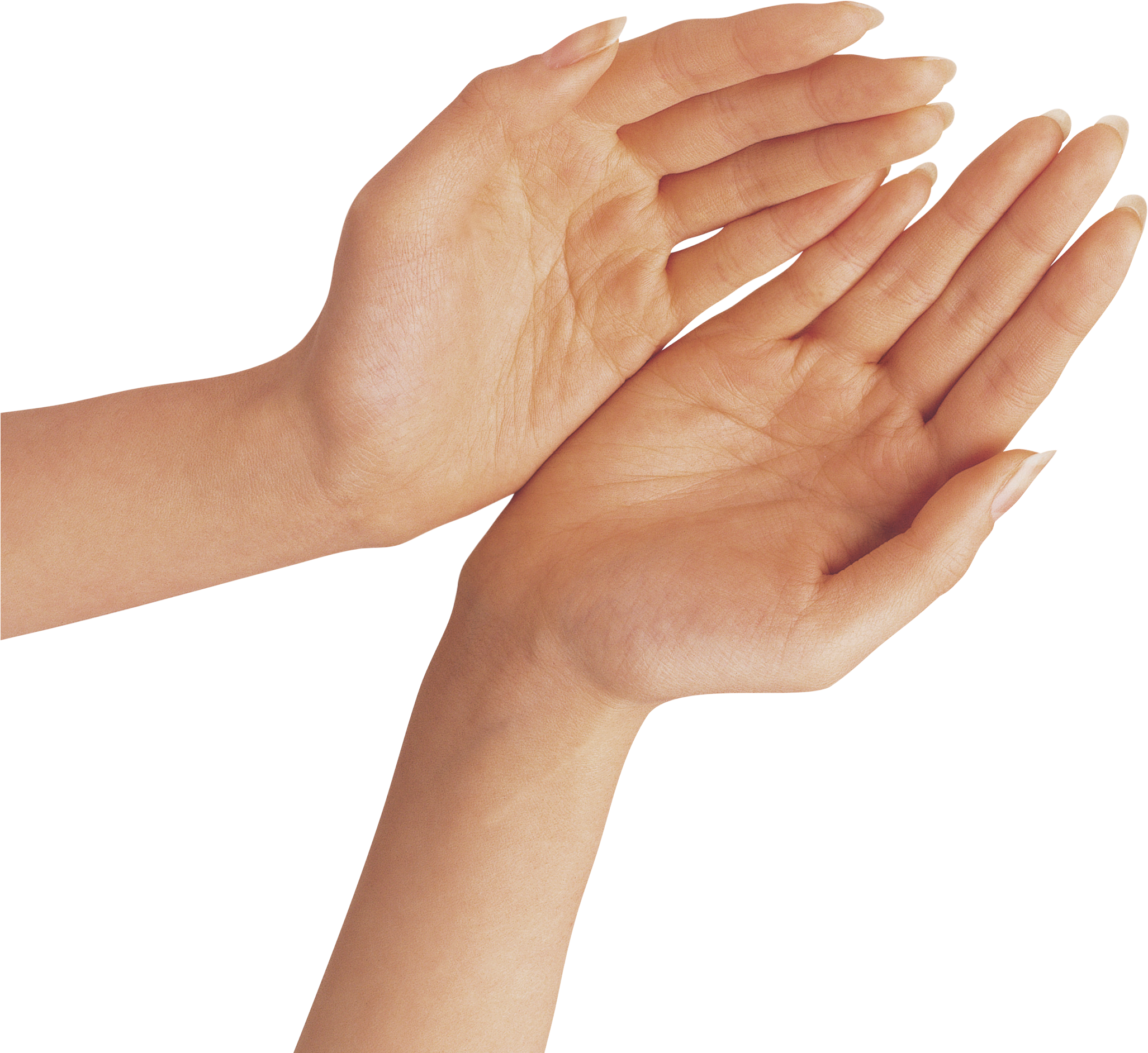 Hand Clipart Png 2054 X 1885
