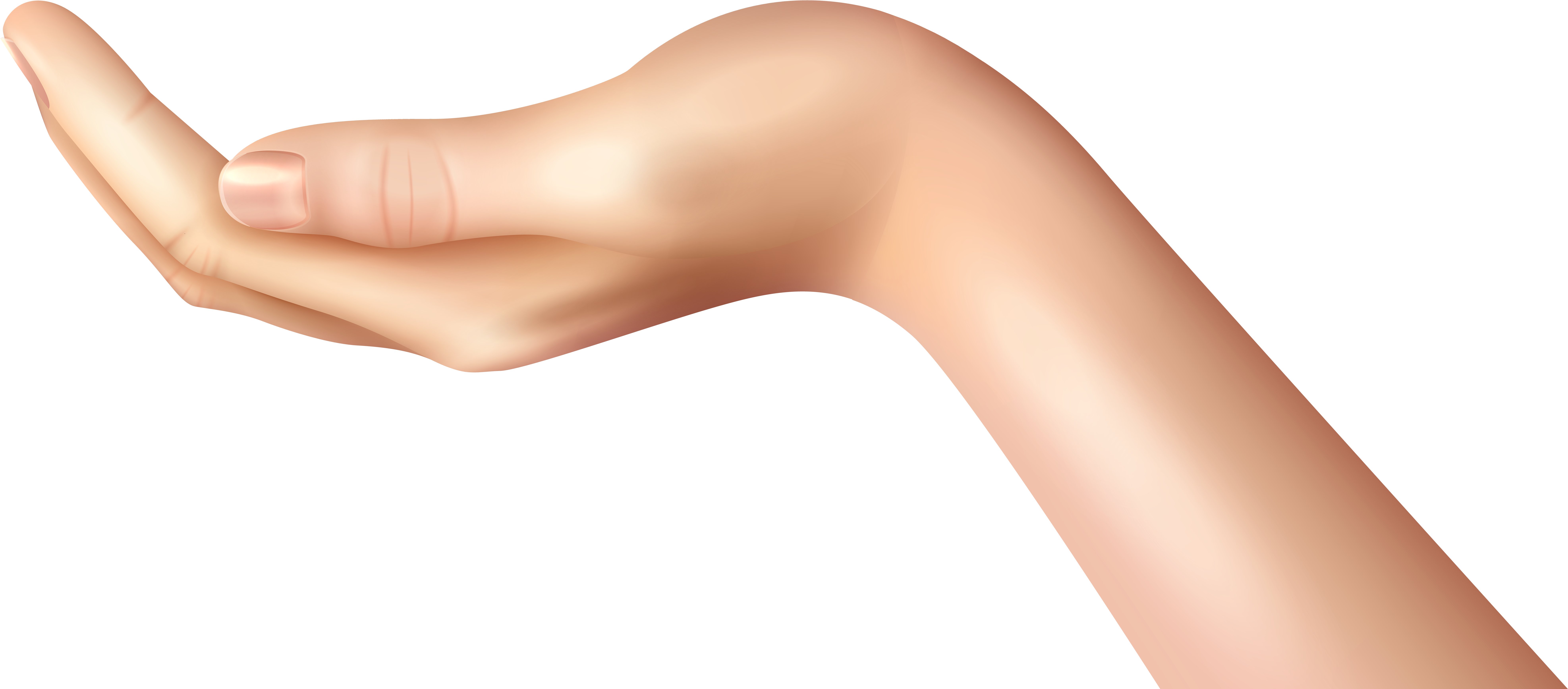 A Close Up Of A Human Arm