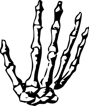 A Hand With Bones On It