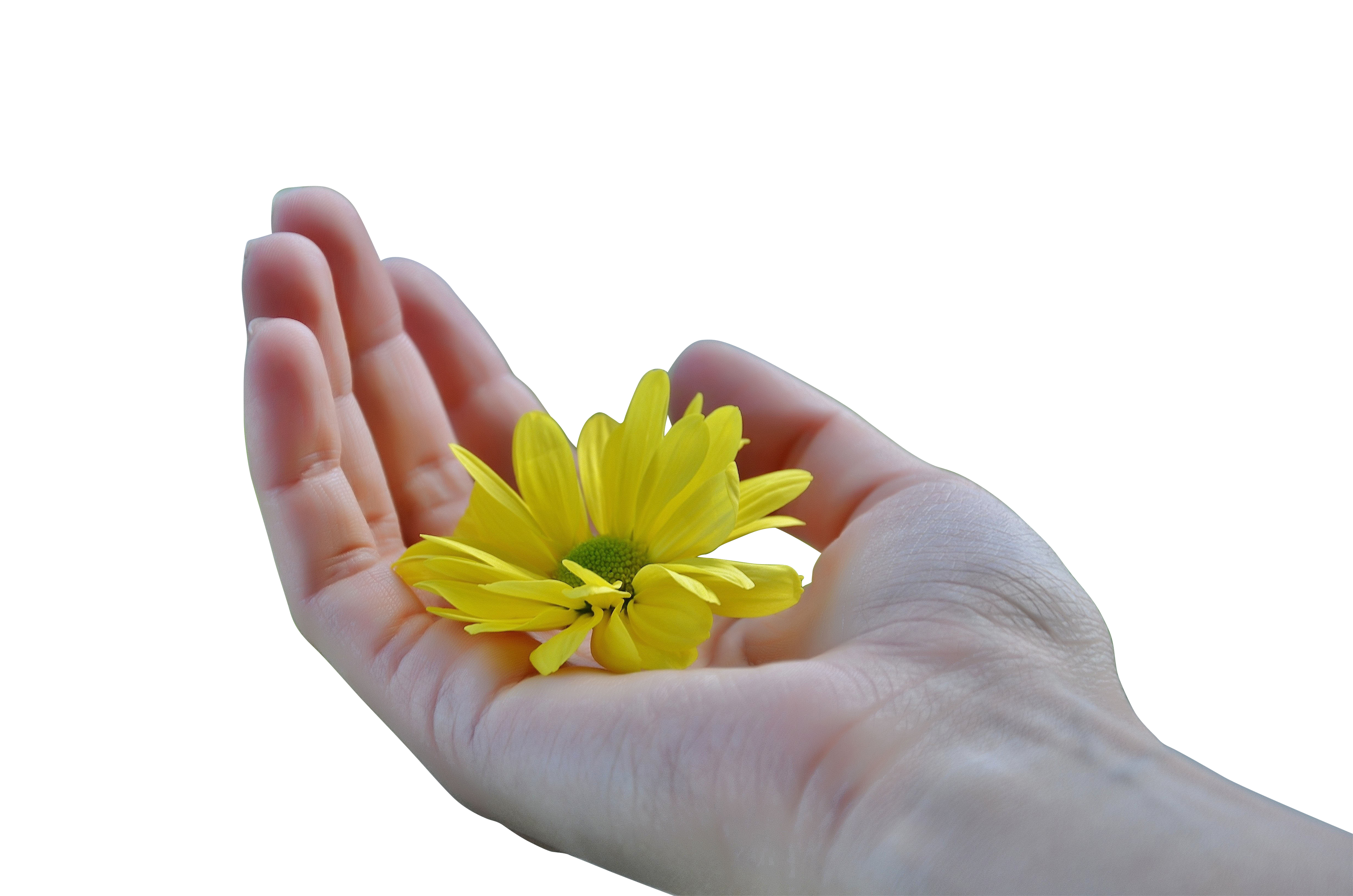 Hand Png 4928 X 3264