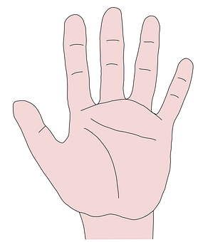 Palm Of Hand 2d Image