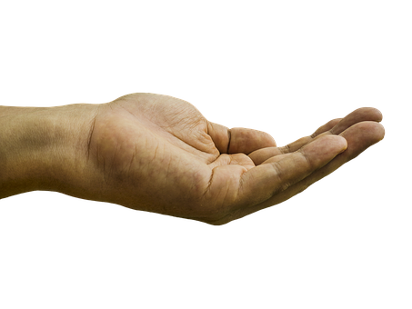 Hand Png 453 X 340