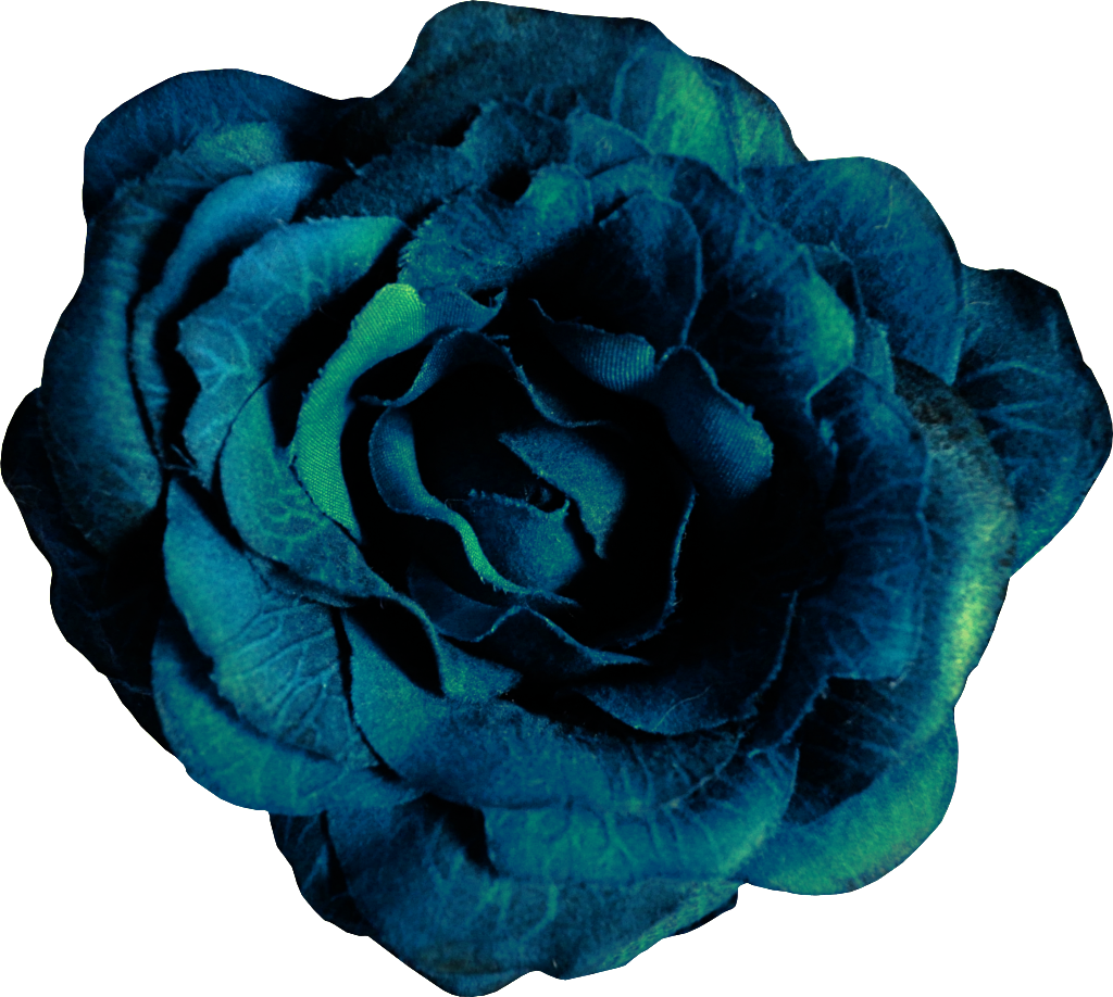 Hand Painted Noble Dark Blue Flowers Png Transparent - Garden Roses, Png Download