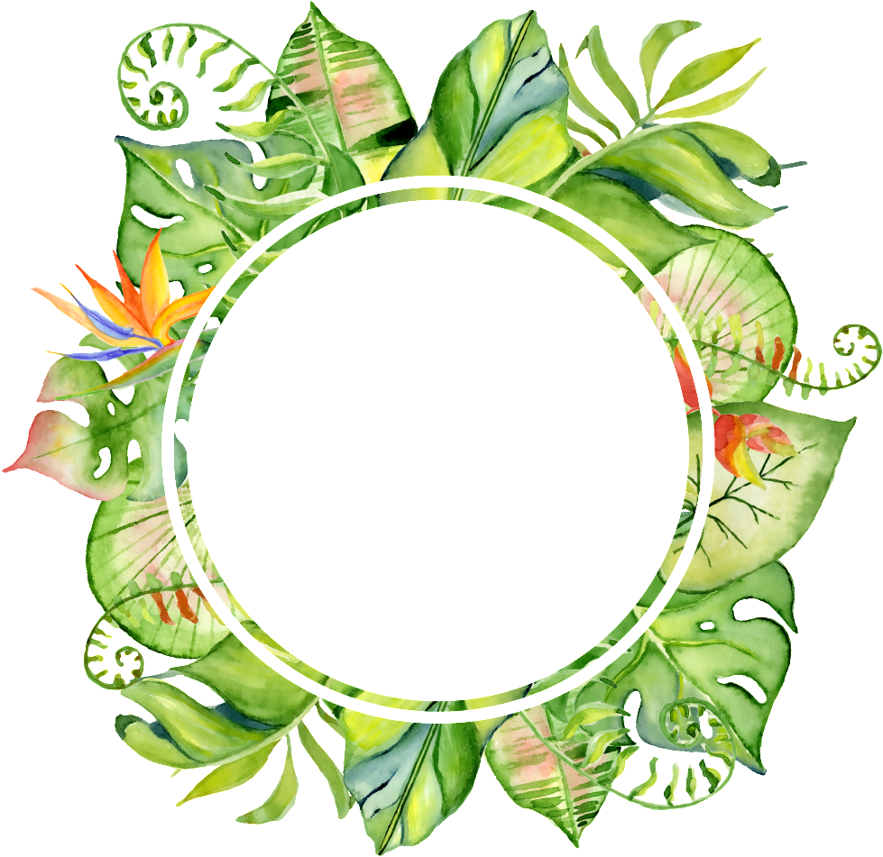 A Circle With A Black Border With Green Leaves