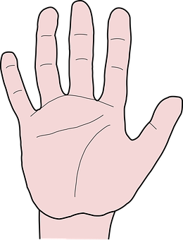 Hand Png 260 X 340
