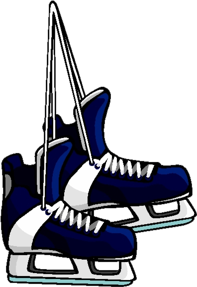 A Pair Of Blue And White Ice Skates