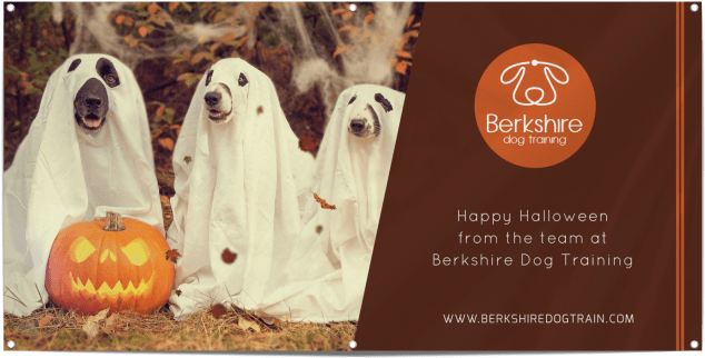 Happy Halloween Pet Banner Template Preview - Halloween Dogs And Pumpkins, Hd Png Download