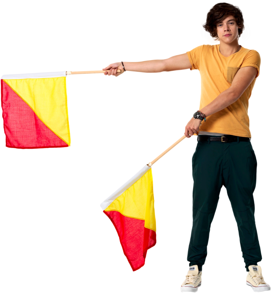 A Man Holding A Flag