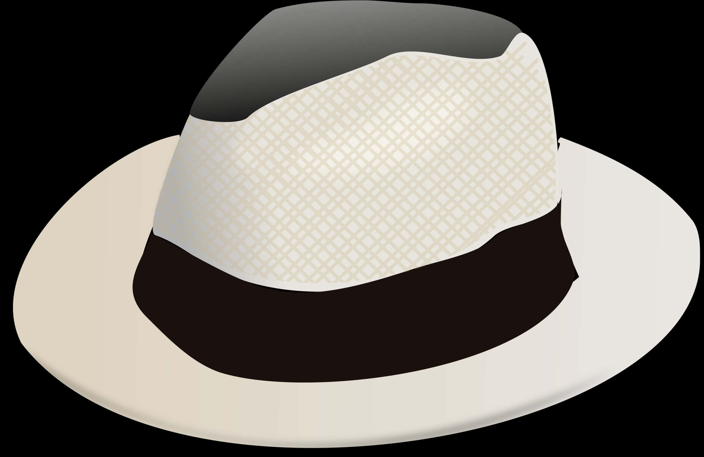 A White And Black Hat