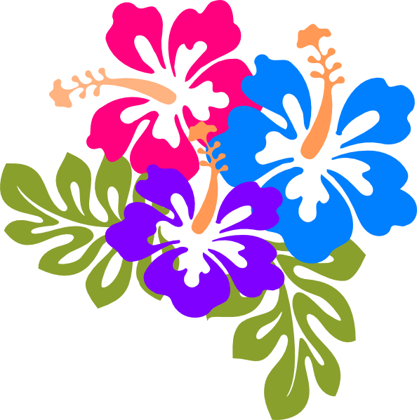 A Colorful Flowers On A Black Background