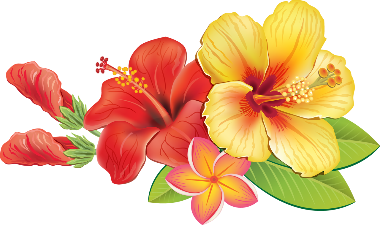 Hawaiian Tropical Flowers Png, Transparent Png