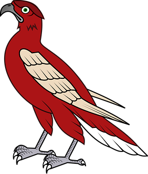 A Red And White Bird With A Black Background