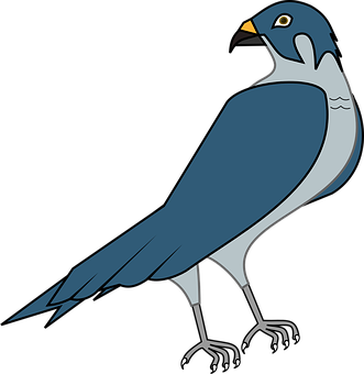A Blue And White Bird