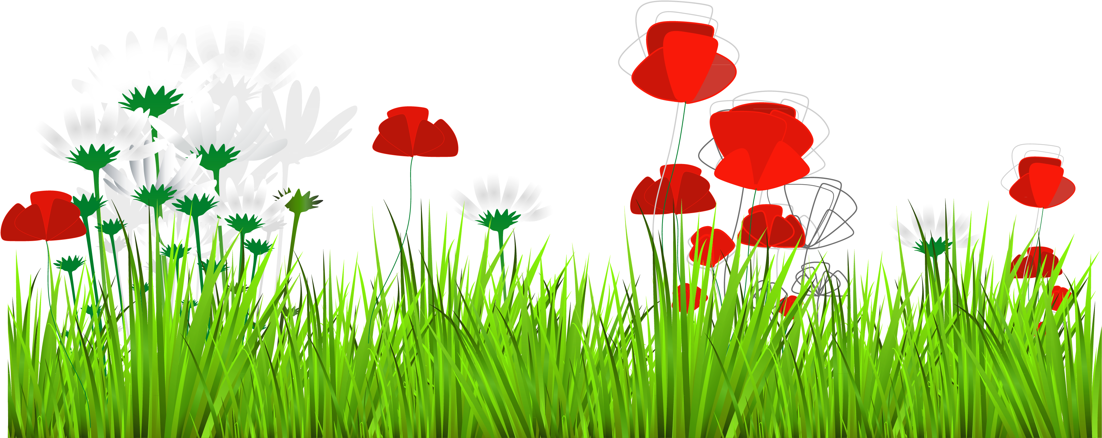 A Group Of Flowers In Grass