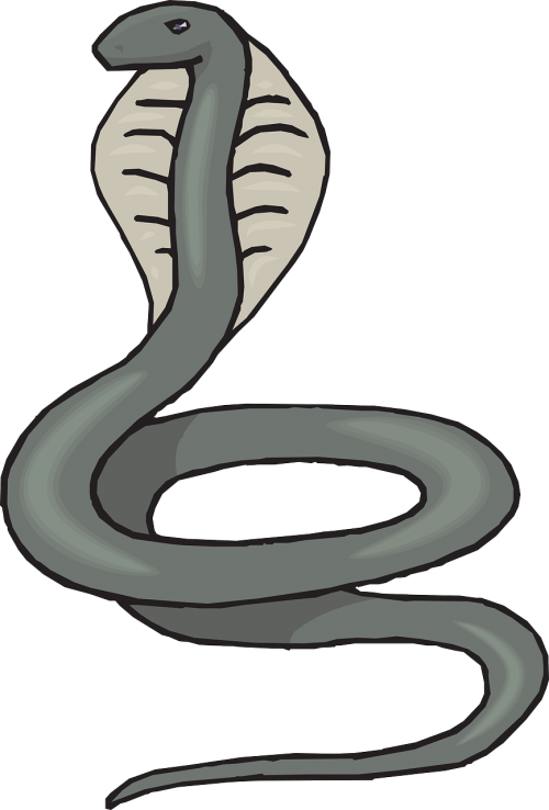 A Cartoon Snake With A Black Background
