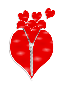 Heart Png 262 X 340