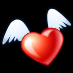 Heart Png 256 X 256