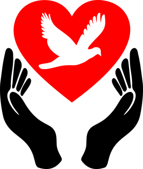 Heart Png 288 X 340