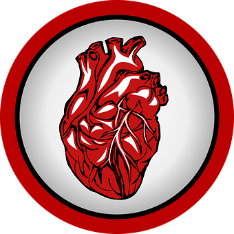 Heart Png 340 X 340