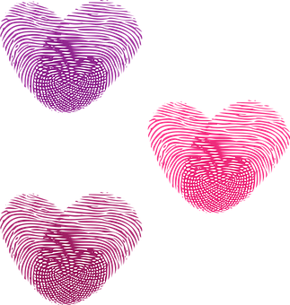 Heart Png 323 X 340