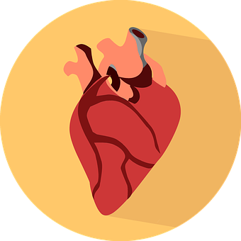 Heart Png 340 X 340