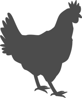 A Chicken Silhouette On A Black Background