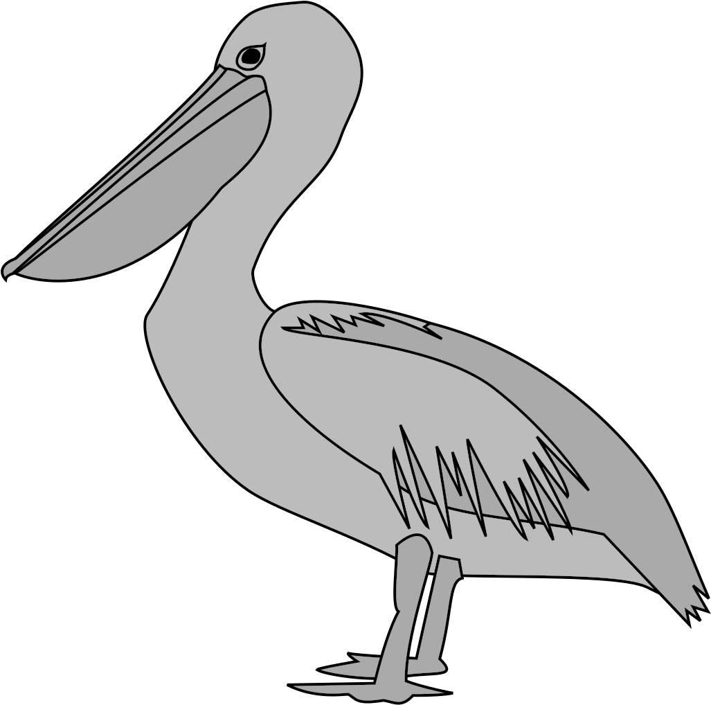 A Grey Pelican With A Long Beak