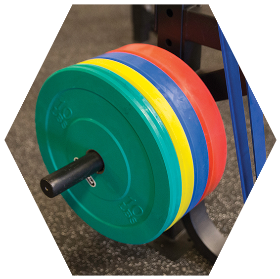 A Multi Colored Disc Weights On A Black Stand